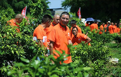 震驚：50元買一只紅蜘蛛？!——這一次，果農們有話要說